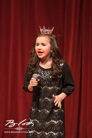 MissMem2016-528
