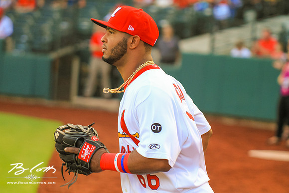 Redbirds082315-061