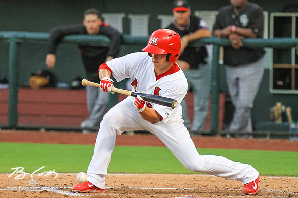 Redbirds081615-110