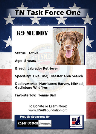 Muddy_Back