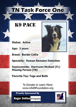 Pace_Back