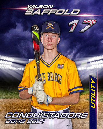 17_WilsonSaffold