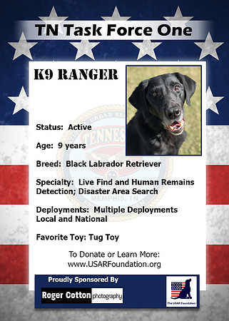 Ranger_Back