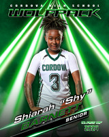 03_ShiarahBarnett