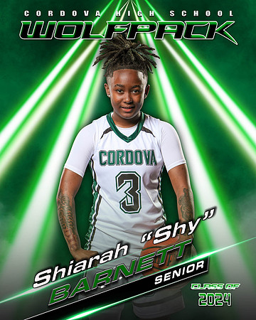 03_ShiarahBarnett