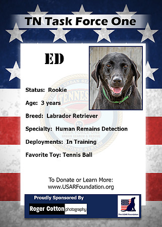 Ed_Back
