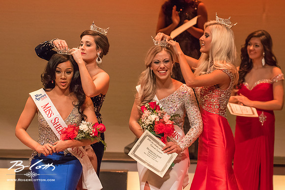 MissMem2016-628