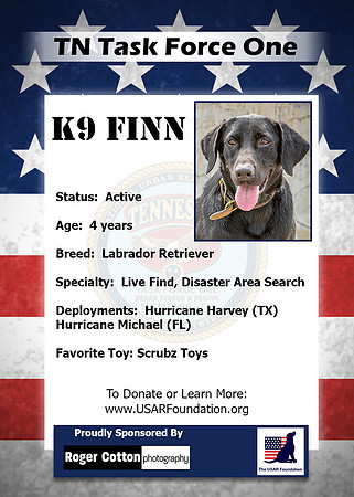 Finn_Back