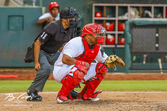 redbirds061816-137