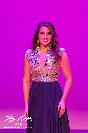 MissMem2016-453