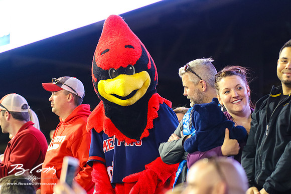Redbirds-04-07-16-164