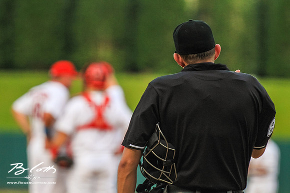 Redbirds082315-110