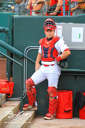 Redbirds_081515-070