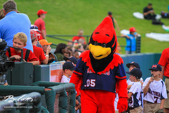 Redbirds081615-022