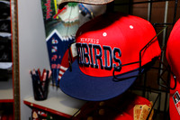 Redbirds-04-07-16-010