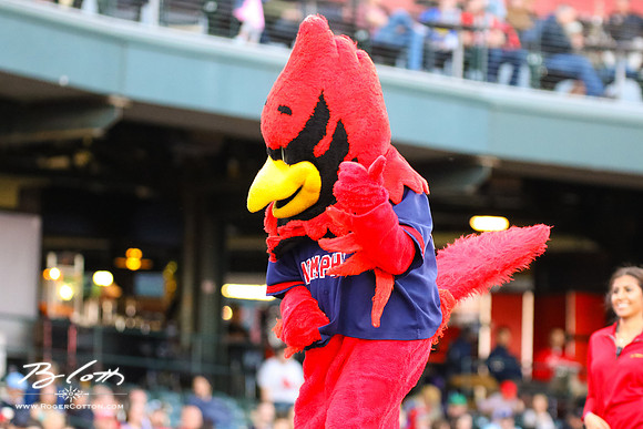 redbirds051416-144