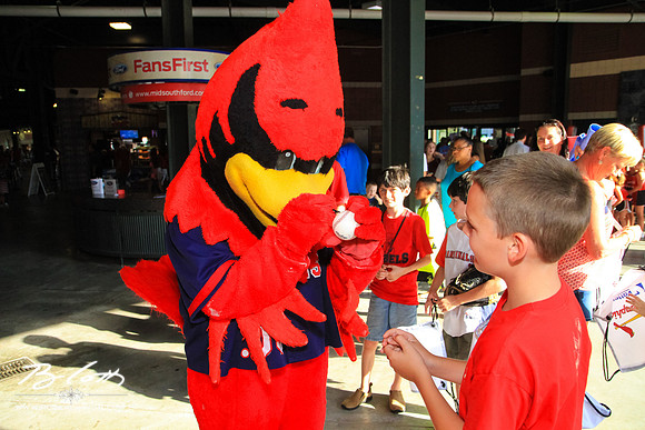 Redbirds082315-005