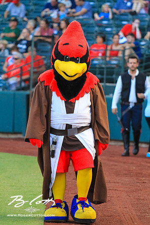 redbirds072715-048
