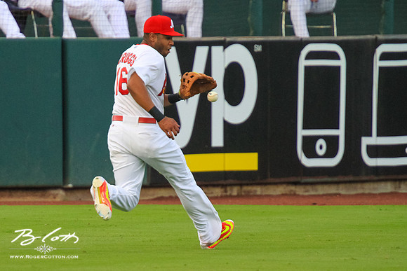 Redbirds081615-065