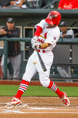redbirds051416-095