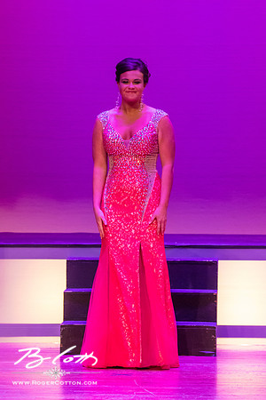 MissMem2016-485