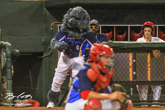 redbirds083115-207
