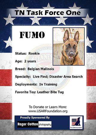 Fumo_Back