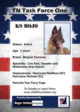 Mojo_Back