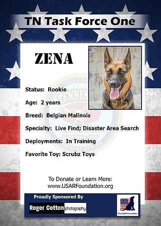 Zena_Back