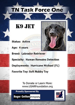 Jet_Back