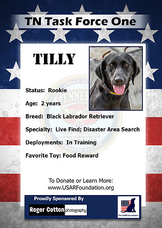 Tilly_Back