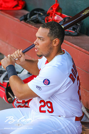 redbirds051416-092