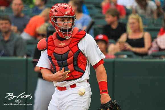 Redbirds_081515-111