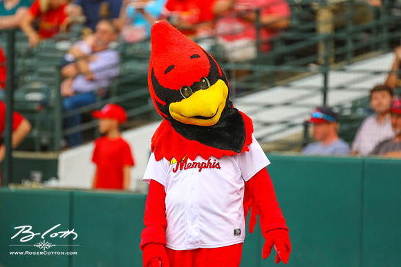 redbirds081316-046