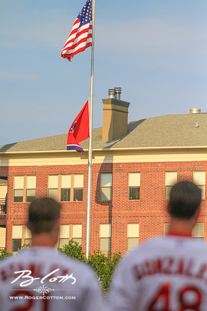 Redbirds_081515-076