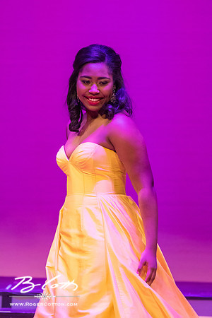 MissMem2016-376