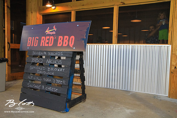 Redbirds082315-158