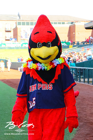 redbirds061816-027