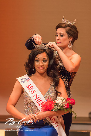 MissMem2016-624