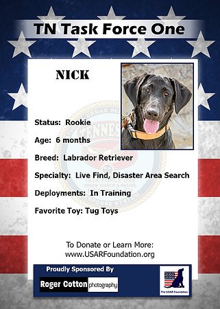 Nick_Back