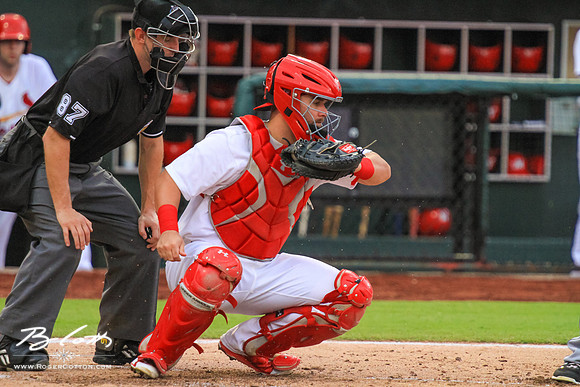 Redbirds082315-129