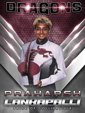 28_PraharshLankapalli