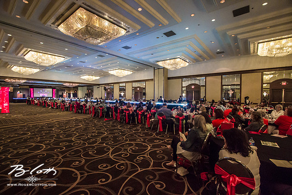 AGFS2016-069