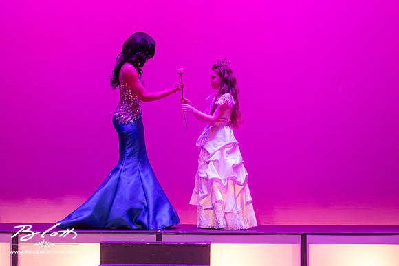 MissMem2016-475