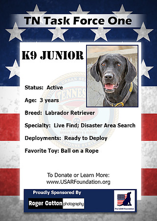 Junior_Back