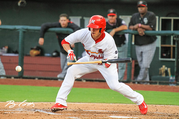 Redbirds081615-111