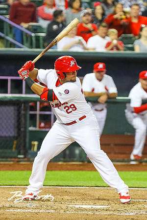 Redbirds-04-07-16-099