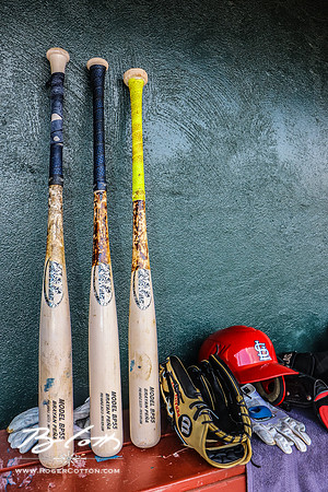 redbirds061816-024