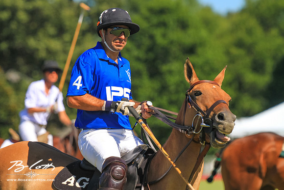 WingsPolo-108