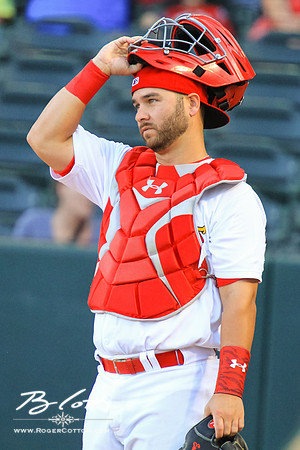 redbirds073115-046